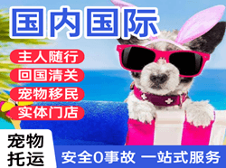阆中古城空运地址国际宠物托运 【国